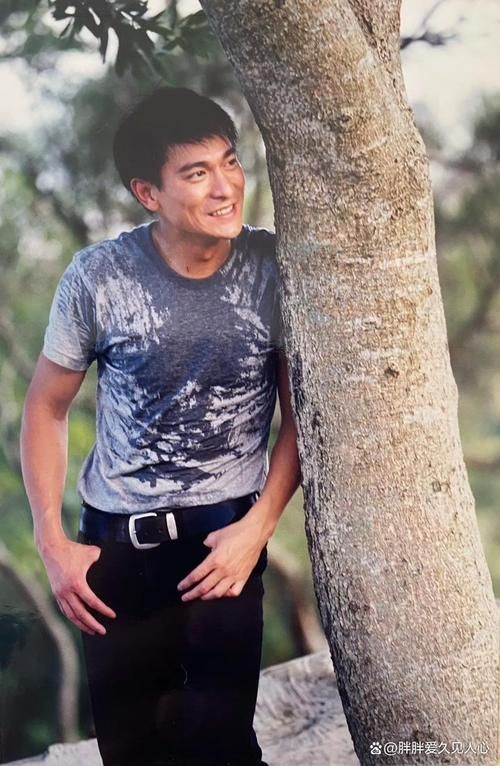刘德华慈善事业：一位巨星的人文关怀与社会责任