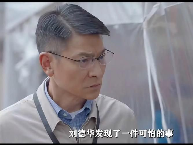 刘德华成奎安合作电影盘点：重温经典港片