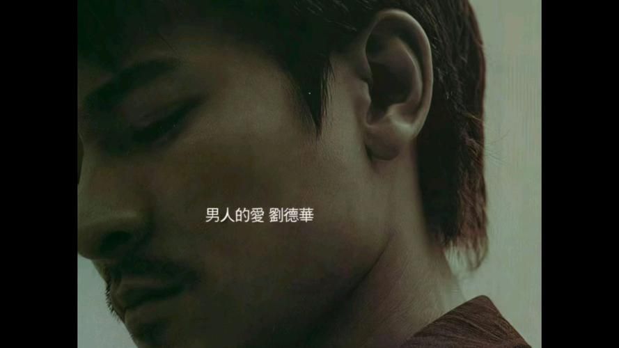 刘德华我不够爱你歌词含义及歌曲赏析