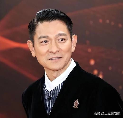 刘德华或将出任香港特首 网友反应两极分化