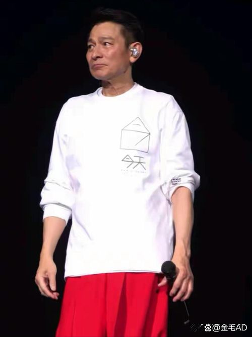 刘德华戴帽子图片高清 时尚穿搭值得收藏