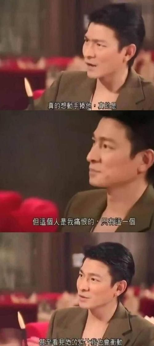 刘德华所有的电影合集哪部是你的最爱