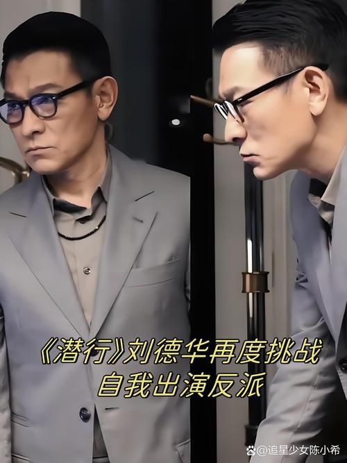 刘德华所有的电影合集哪部是你的最爱