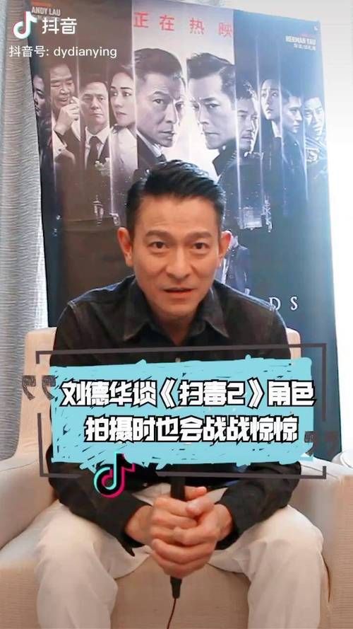 刘德华扫毒角色背后的故事与演技分析