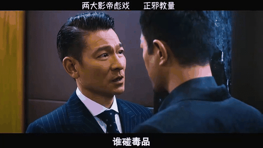 刘德华扫毒角色背后的故事与演技分析