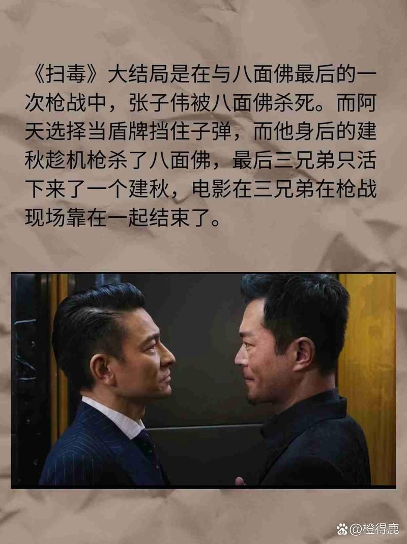 刘德华扫毒角色背后的故事与演技分析