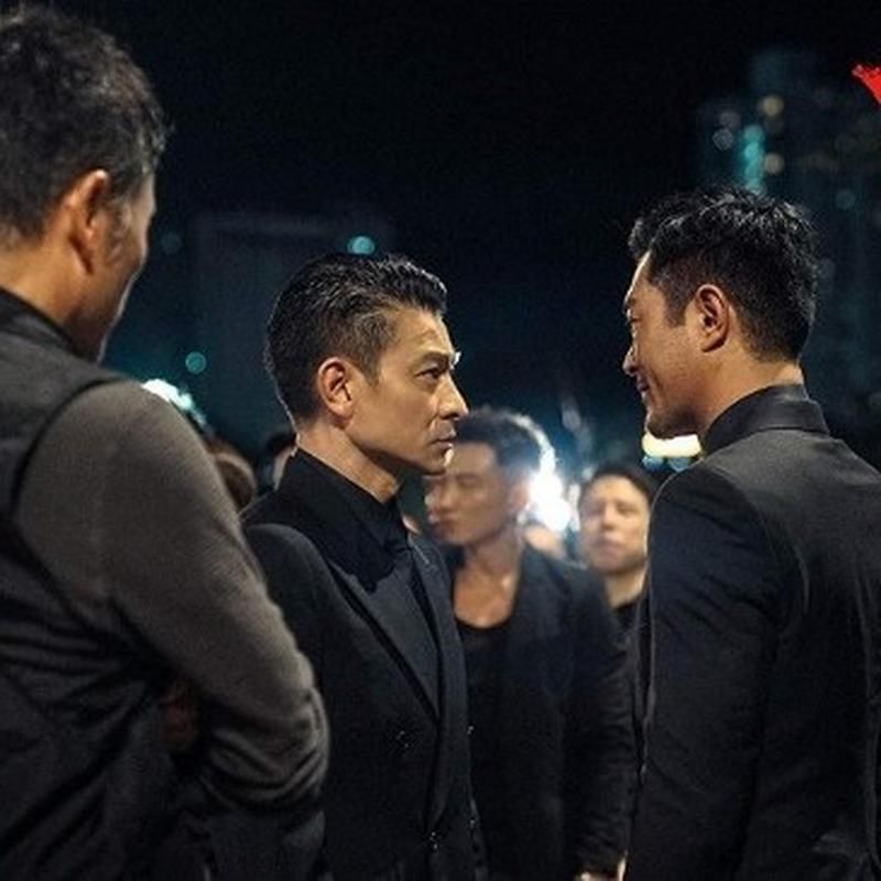 刘德华扫毒角色背后的故事与演技分析