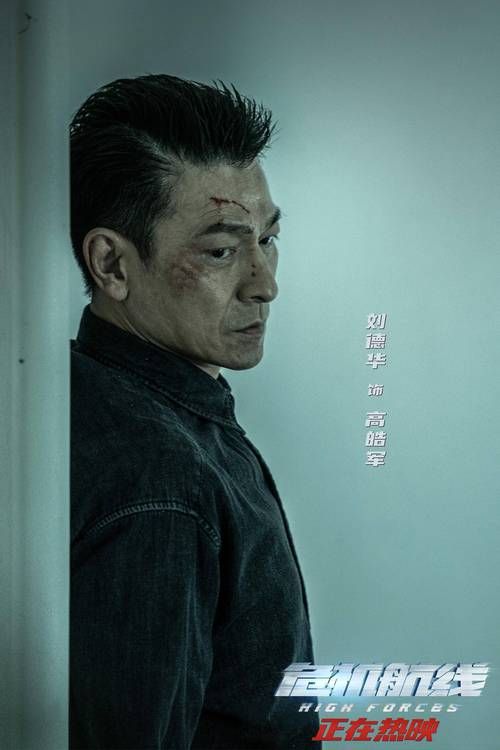 刘德华拍的电影有哪些警匪片最精彩