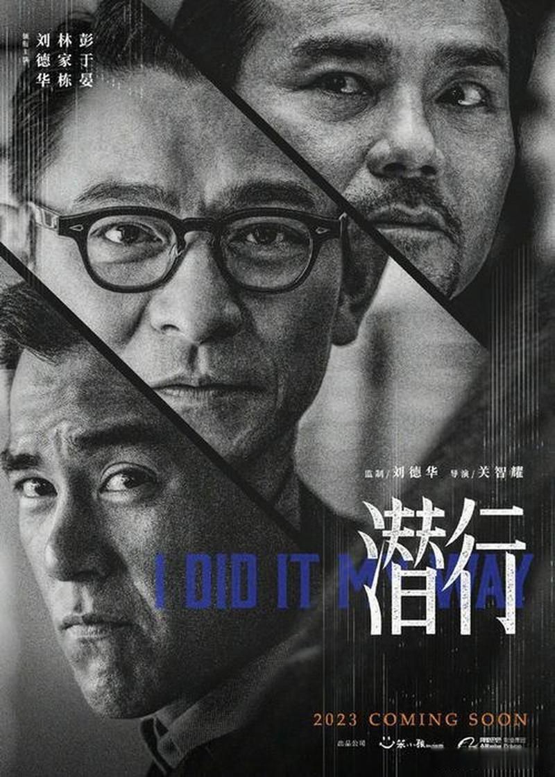 刘德华拍的电影有哪些警匪片最精彩