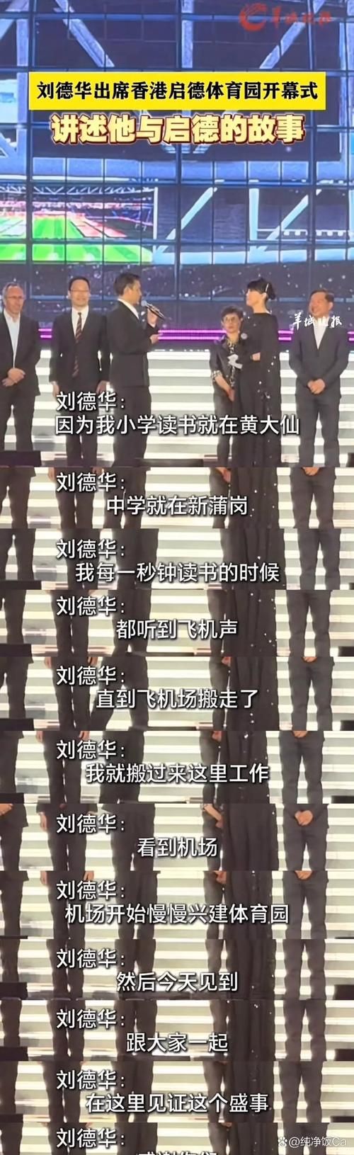 刘德华拼音怎么写 中文拼音拼写详细解析