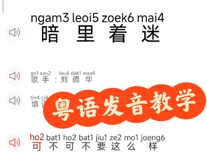 刘德华拼音怎么写 中文拼音拼写详细解析