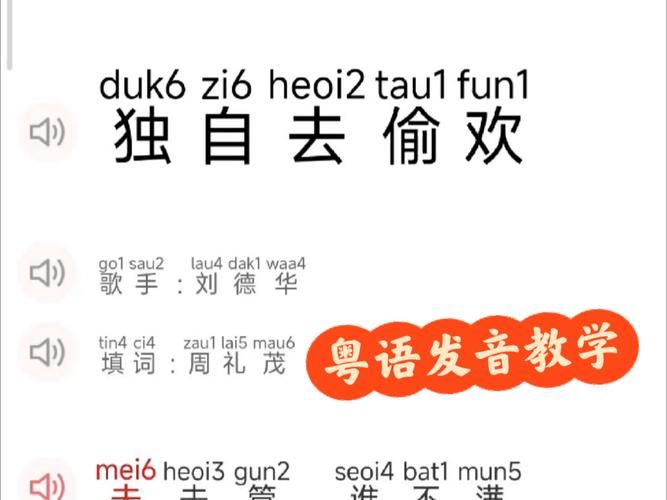 刘德华拼音怎么写 中文拼音拼写详细解析
