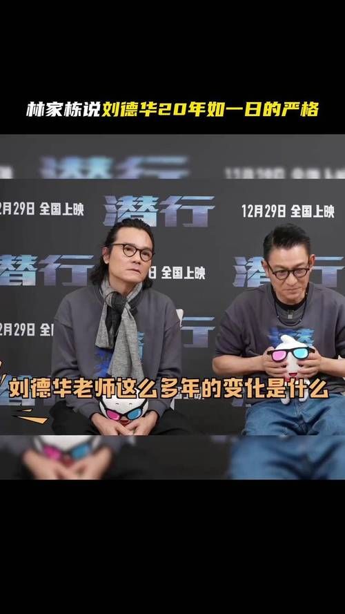 刘德华接受采访视频流出 透露未来工作计划