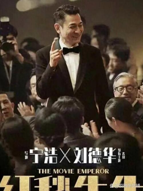刘德华新哥传奇上映时间与票房表现全揭秘