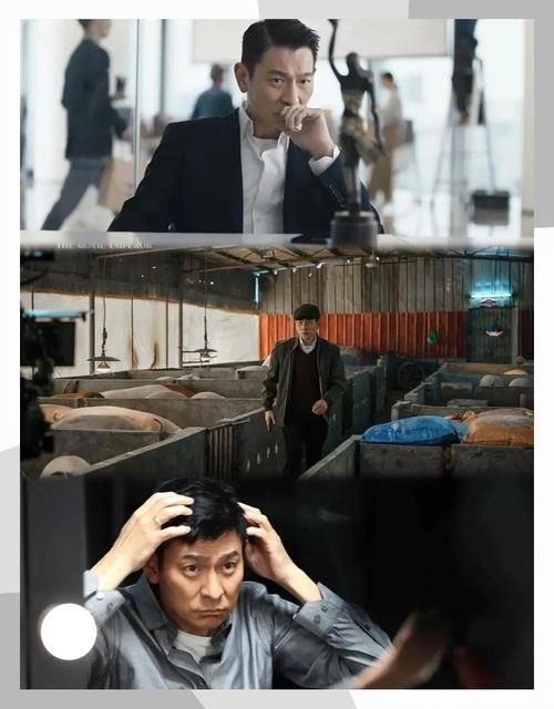 刘德华新片计划曝光 今年将带来哪些惊喜作品
