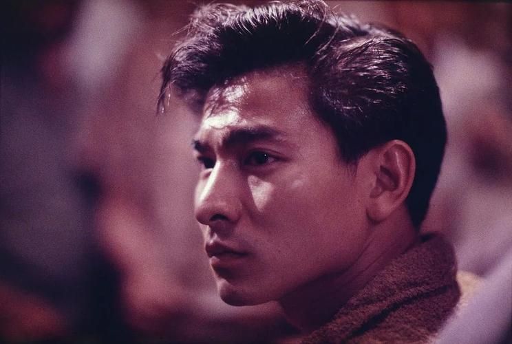 刘德华早期电视剧有哪些经典作品值得重温