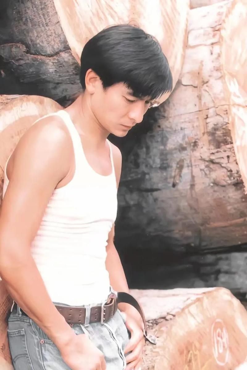 刘德华明星粉丝为什么这么多他的魅力在哪里