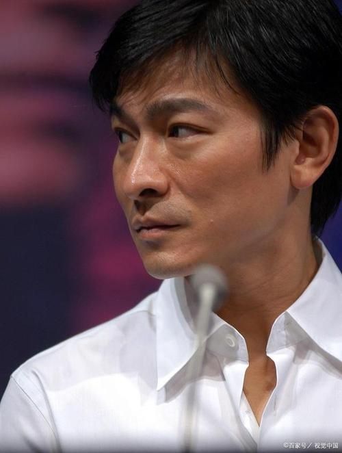 刘德华是国家一级演员他的演艺生涯有多辉煌