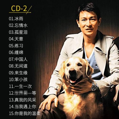 刘德华最后一次演唱会歌单曝光经典金曲全收录
