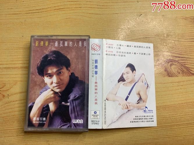 刘德华最孤单的人是我为何成为经典金曲