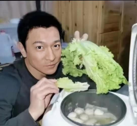 刘德华有肝炎吗 粉丝关心他的健康近况
