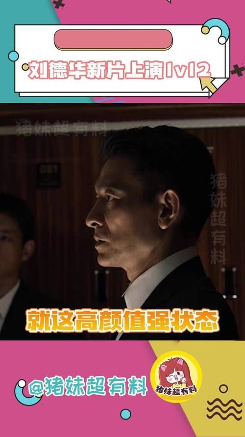 刘德华有飞机吗明星出行方式大比拼