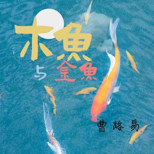 刘德华木鱼与金鱼歌词为何成为经典原因探讨