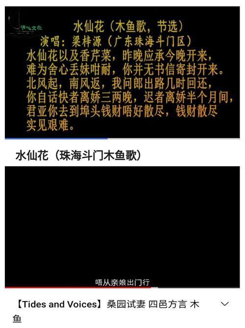 刘德华木鱼与金鱼歌词为何成为经典原因探讨
