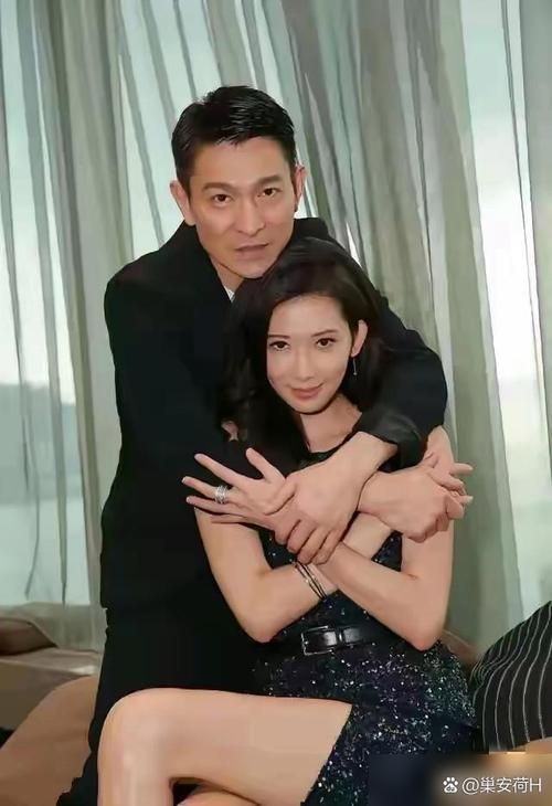 刘德华李美凤电影合集哪部是你的最爱