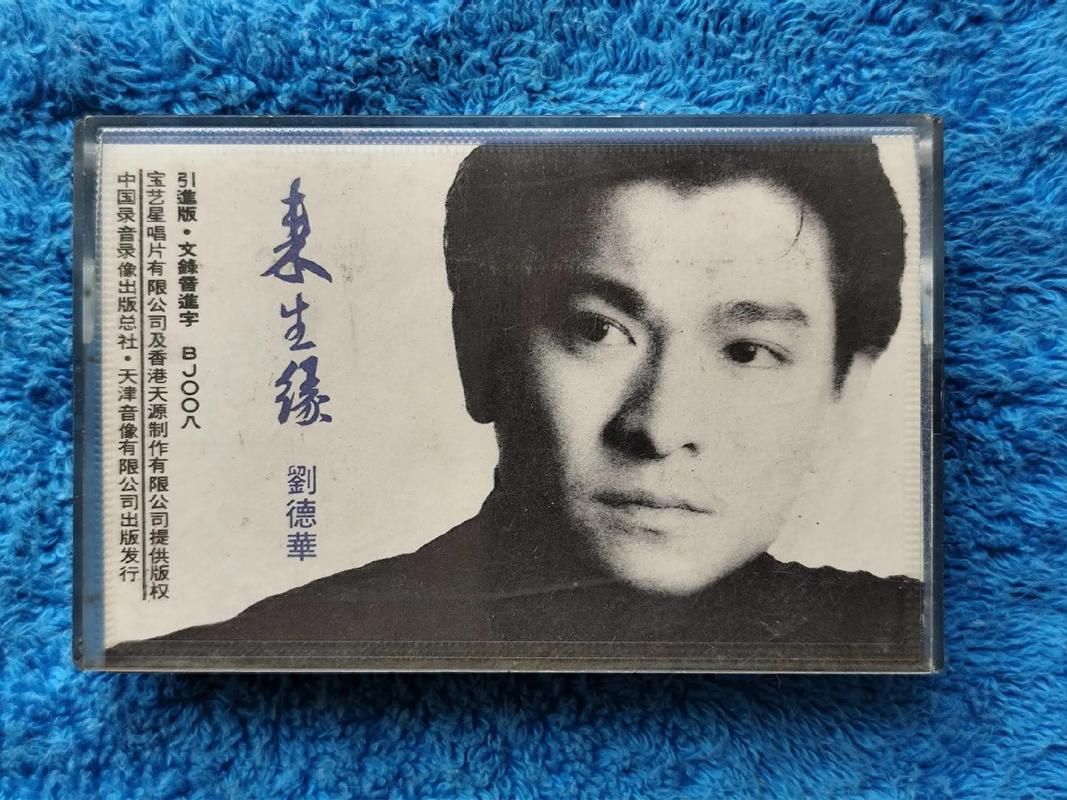 刘德华来生缘现场版 动人歌声让观众泪目