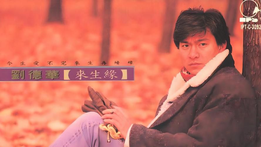 刘德华来生缘现场版 动人歌声让观众泪目
