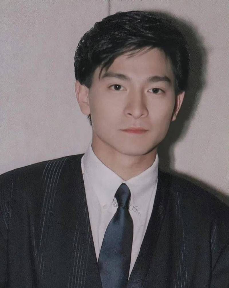 刘德华板鸭事件背后故事 原来是这样