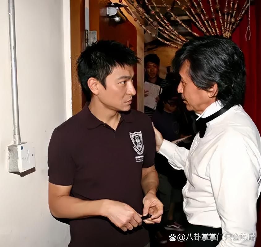 刘德华林子祥合唱歌曲视频合集高清现场版欣赏
