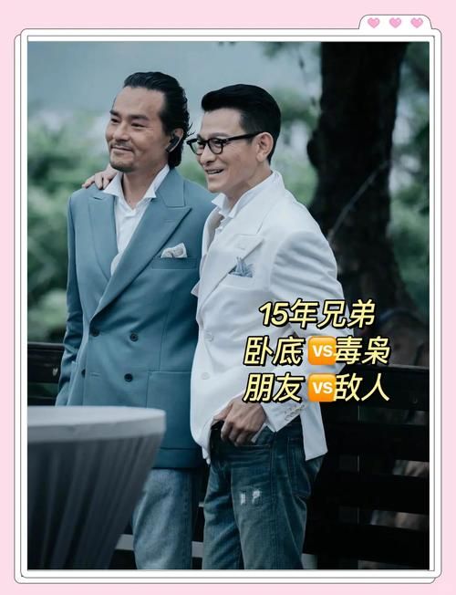 刘德华林家栋合作新片票房大卖，背后原因是什么？