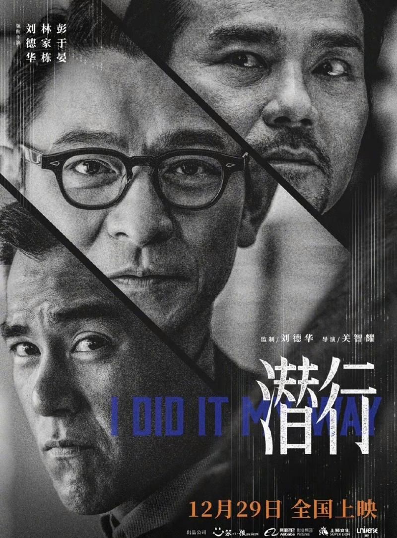 刘德华林家栋合作的电影，口碑票房双丰收！
