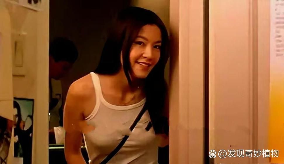刘德华林熙蕾电影合作盘点 经典搭档银幕火花回顾