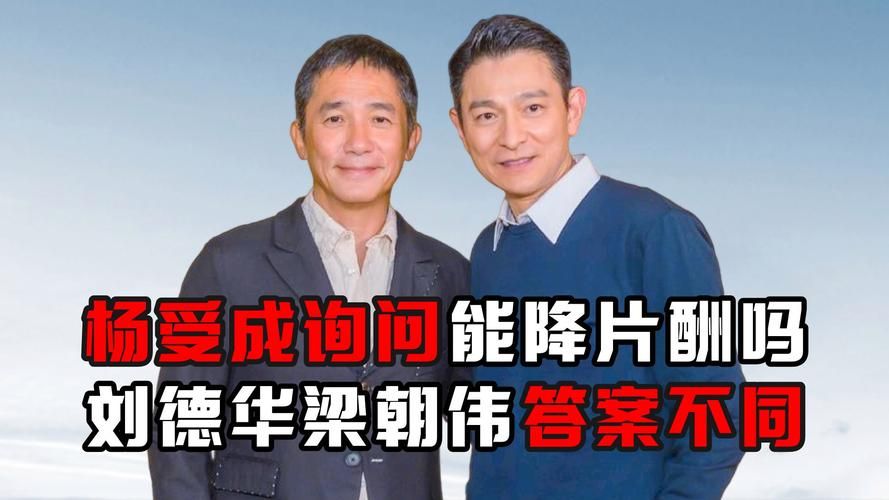 刘德华梁朝伟：两位巨星截然不同的人生