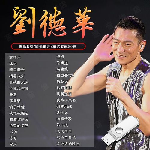 刘德华歌曲打包下载 高清音质MP3直接保存