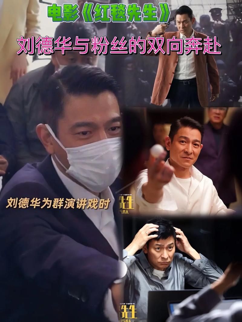 刘德华求婚现场视频流出 粉丝直呼太甜了