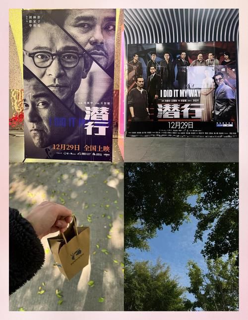 刘德华求婚现场视频流出 粉丝直呼太甜了