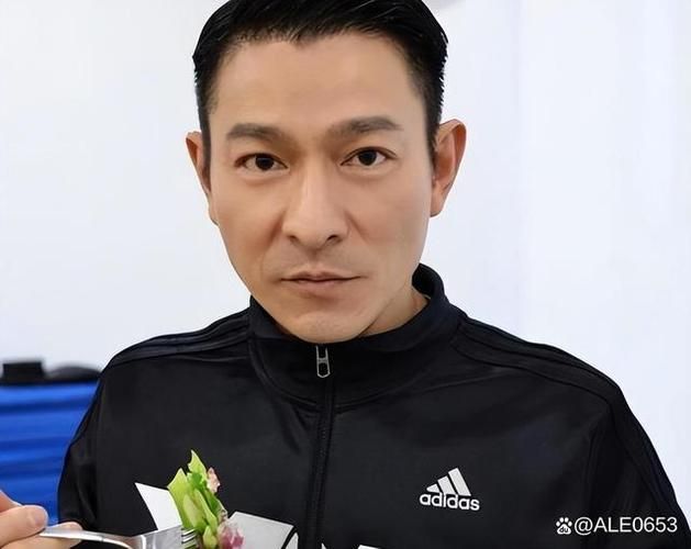 刘德华沈阳事件始末：天王遭打耳光，300万演出费成泡影？