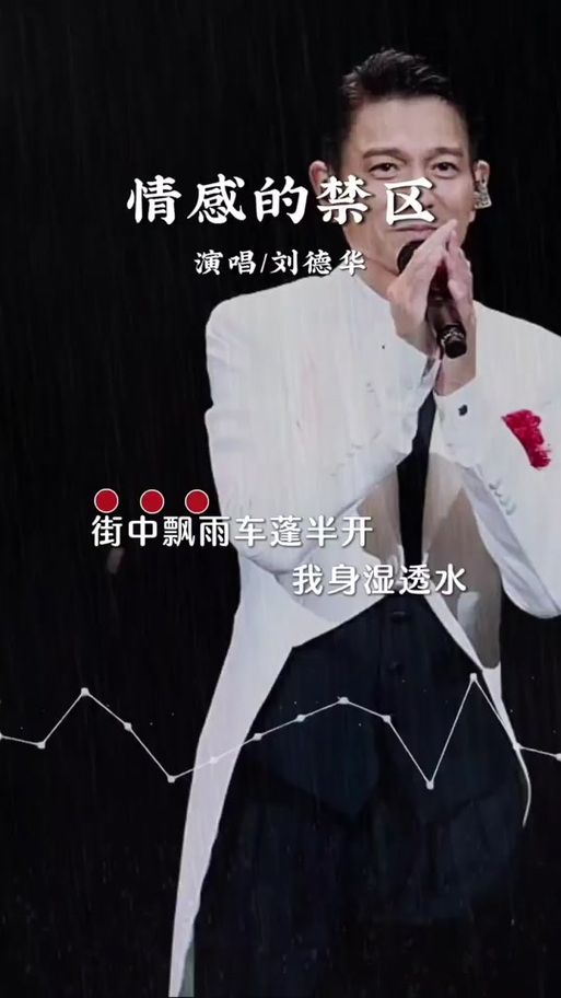 刘德华流浪歌词解析听完感动到哭