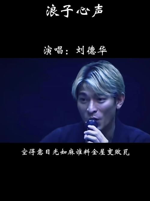 刘德华浪子心声歌词全文 感受天王的深情演绎