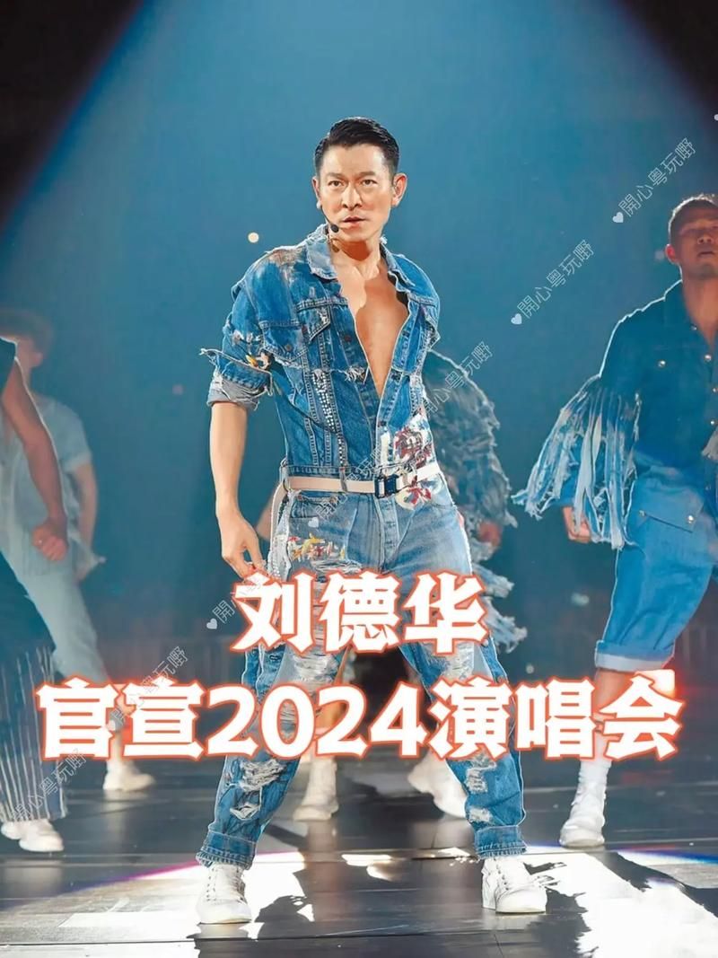 刘德华湖南演唱会门票抢购攻略与现场实况分享