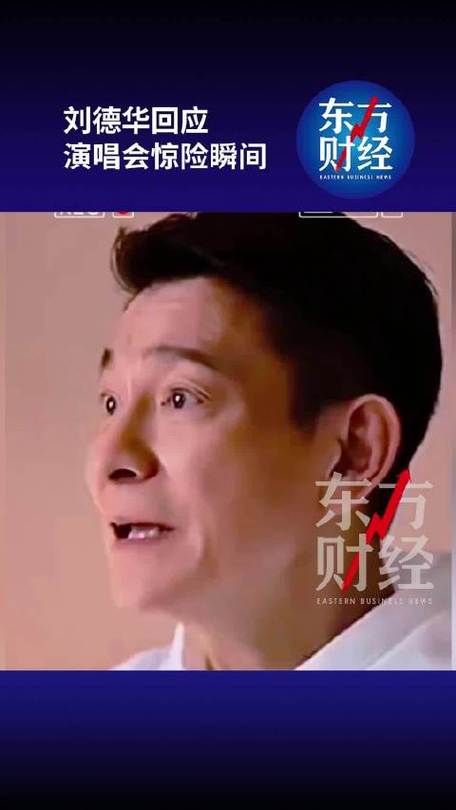 刘德华演唱会打人视频引发争议当事人回应