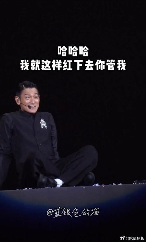 刘德华演唱会打人视频引发争议当事人回应
