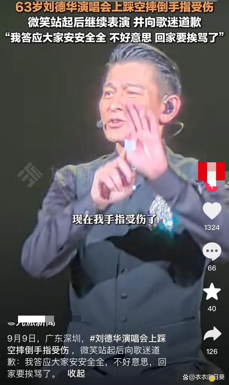 刘德华演唱会打人视频引发争议当事人回应