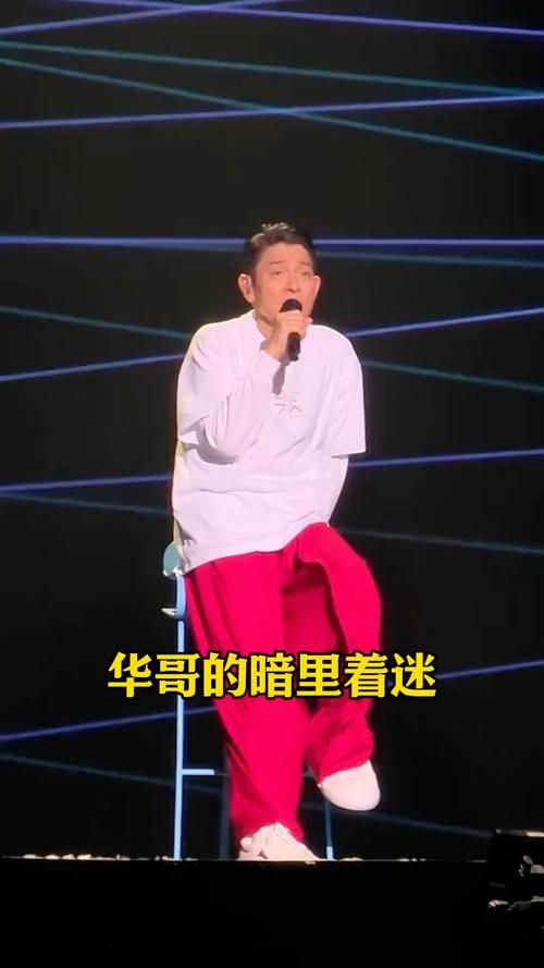 刘德华演唱会男朋友现场版引发全场大合唱