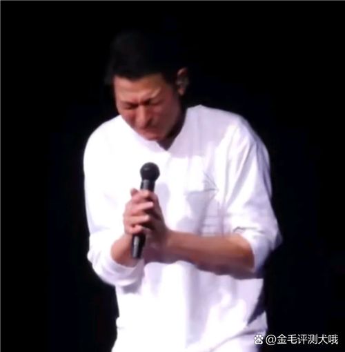 刘德华演唱会记录回顾经典瞬间感动万千歌迷