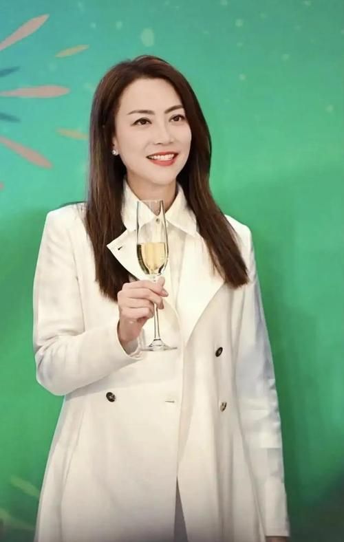 刘德华演唱会霍汶希现身：友谊的最佳见证